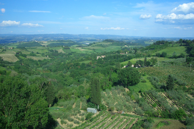 Road Down from San Gimignano